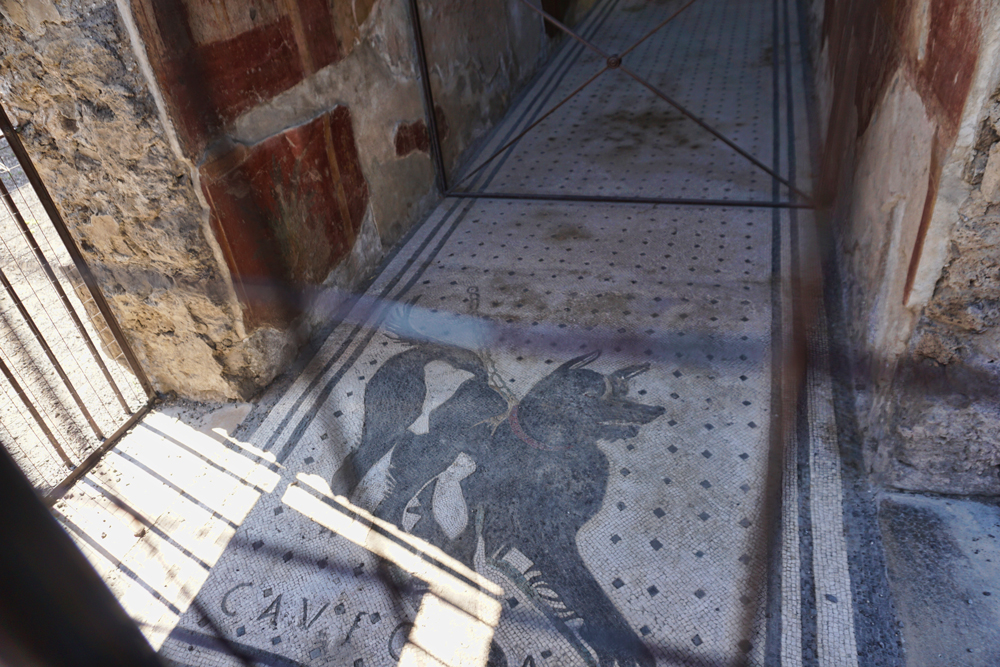 Dog Mosaic in Pompeii