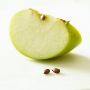 Apple-seed