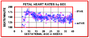 Gender determination prenatal heartbeatGender determination prenatal heartbeat